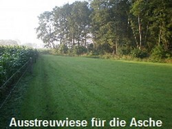 Pferdebestattung Streuwiese Pferdebestattung Streuwiese