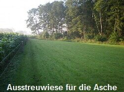 Pferdebestattung Streuwiese Pferdebestattung Streuwiese