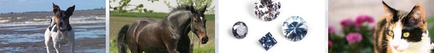 Diamanten Bild Tiere Diamanten Bild Tiere